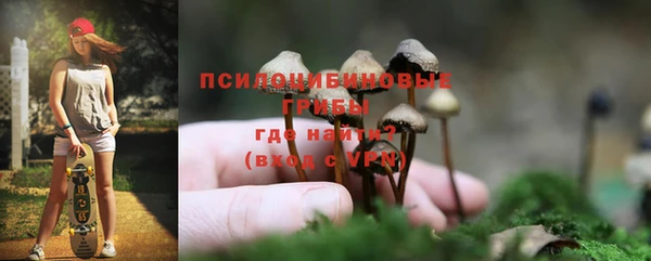 ГАЛЛЮЦИНОГЕННЫЕ ГРИБЫ Краснотурьинск